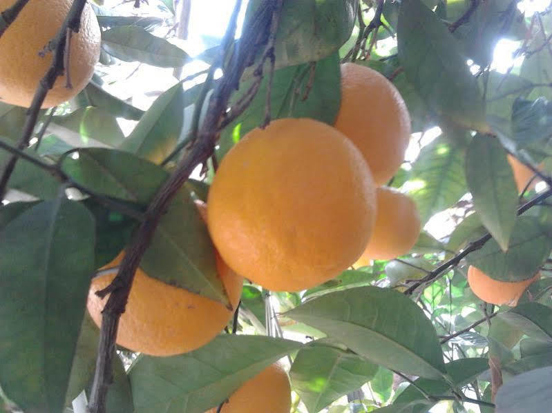 דורקאל Alojamiento Rural El Valle מראה חיצוני תמונה